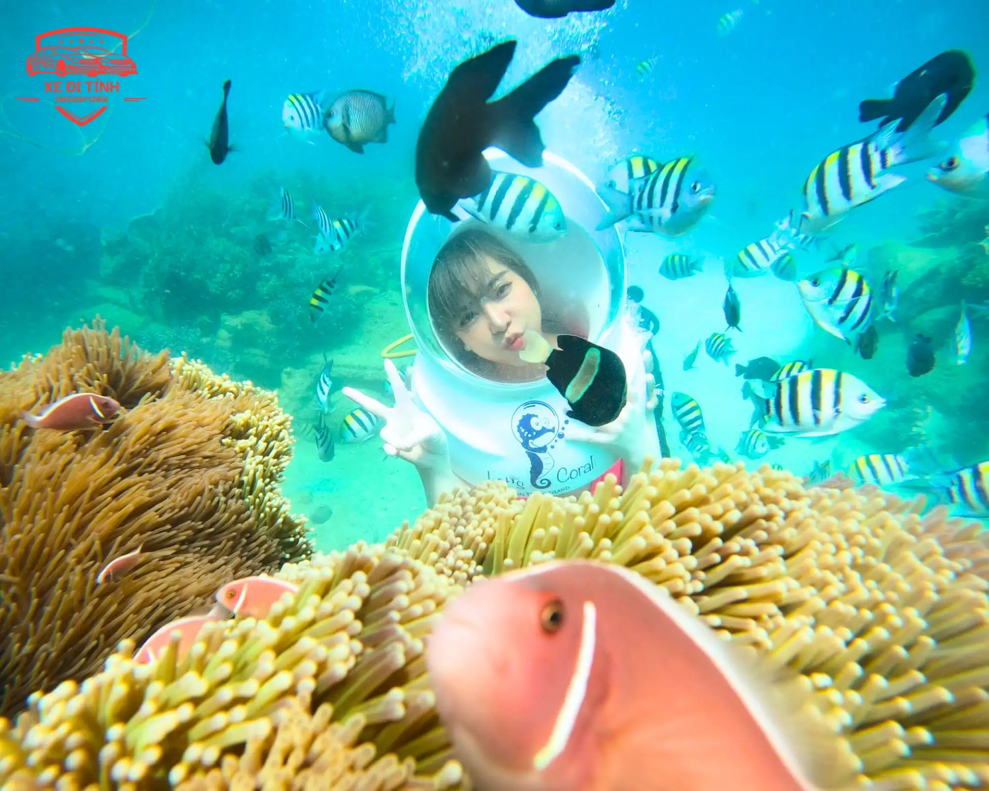 Thuê Xe Đi Nha Trang An Toàn, Giá Tốt