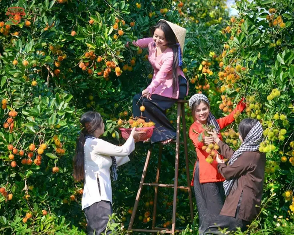 Cho Thuê Xe Đi Tiền Giang Giá Tốt